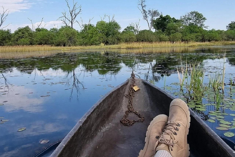 Delta del Okavango: Excursión en Mokoro/Canoa de 1 día, todo incluido