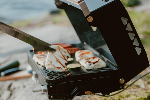 Stockholm: Sunset Canoe Beaver Safari & BBQ on Island Stockholm Pickup & Drop-off