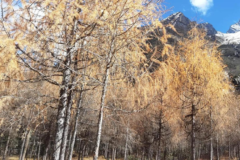 Sichuan: Bipeng Valley Ticket