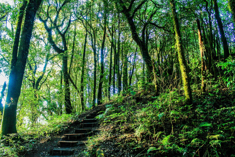 Chiang Mai: Excursión a Doi Inthanon, Cascadas y Aldeas Tribales