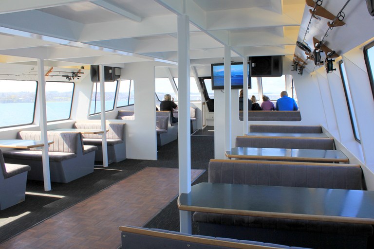 Lake Taupo: Maori Rock Carvings 8.30 AM 1.5-Hour Cruise