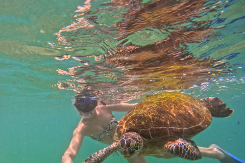 Mirissa: Turtle Snorkeling Experience with Boat Ride