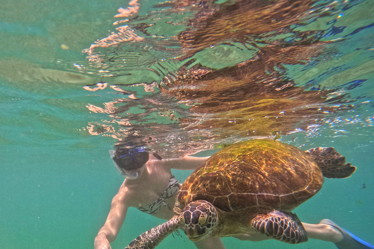 Mirissa: Turtle Snorkeling Experience with Boat Ride