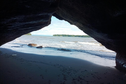 Cali: Whale Watching Tour with Breakfast and Lunch