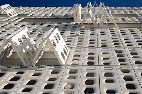 Rio de Janeiro: Modern Architecture Experience with Guide