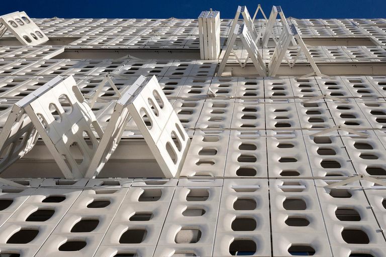 Rio de Janeiro: Modern Architecture Experience with Guide