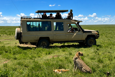 From Arusha: Ngorongoro Crater Safari with Lunch & Guide