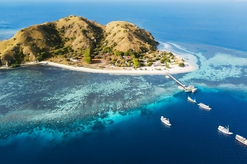 Labuan Bajo: Excursión de un día a la isla de Komodo con 6 destinos