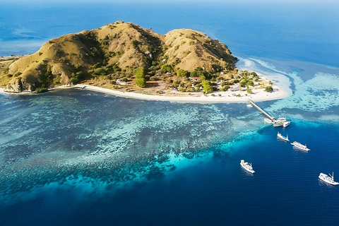 Da Labuan Bajo: Tour di un giorno dell&#039;isola di Komodo con snorkeling