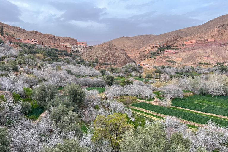 2 Days Trip From Marrakech To Ouarzazate & Dades Valley 2 Days Shared Tour : Marrakech To Ouarzazate & Dades Valley