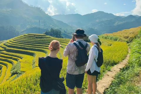 Mu Cang Chai: Highlights 3-hour Guided Hiking Trip