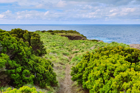 Isla Terceira: Baías da Agualva Senderismo + Picnic + Biscoitos