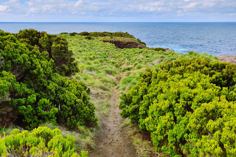 Ilha Terceira: Meio dia de caminhada: Baías da Agualva