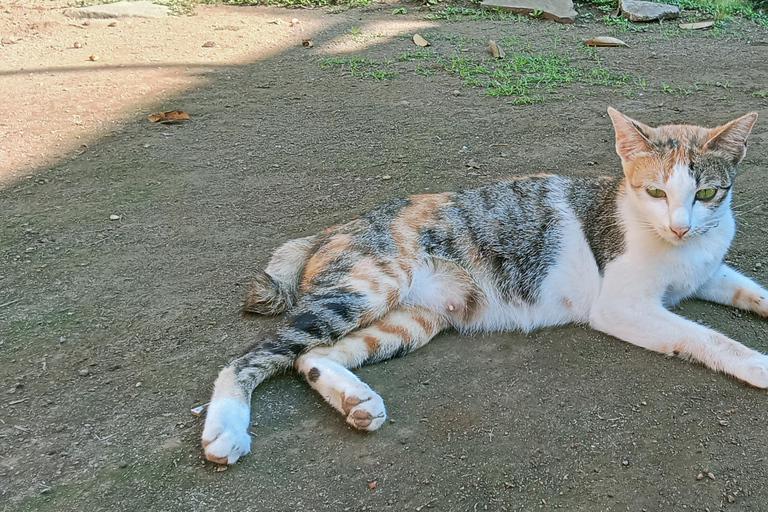 Lombok: Gili Meno Snorkeling, Waterfalls and Village Tours