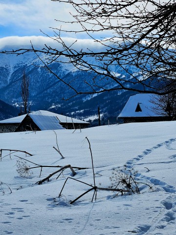 Visit Snowshoeing in Bakuriani, Caucasus Mountains in Borjomi
