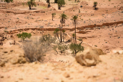 Private three days tour in the desert: 4x4, quad and camel.