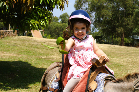 Paseos en burro para niños Experiencia