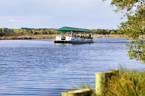 Charleston : Visite guidée de la plantation et des jardins de Magnolia