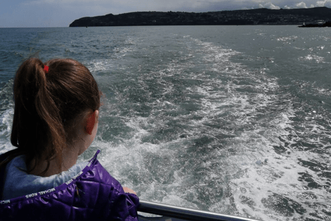 Dublin : Tour en bateau de la baie de Dublin et de l&#039;œil de l&#039;Irlande