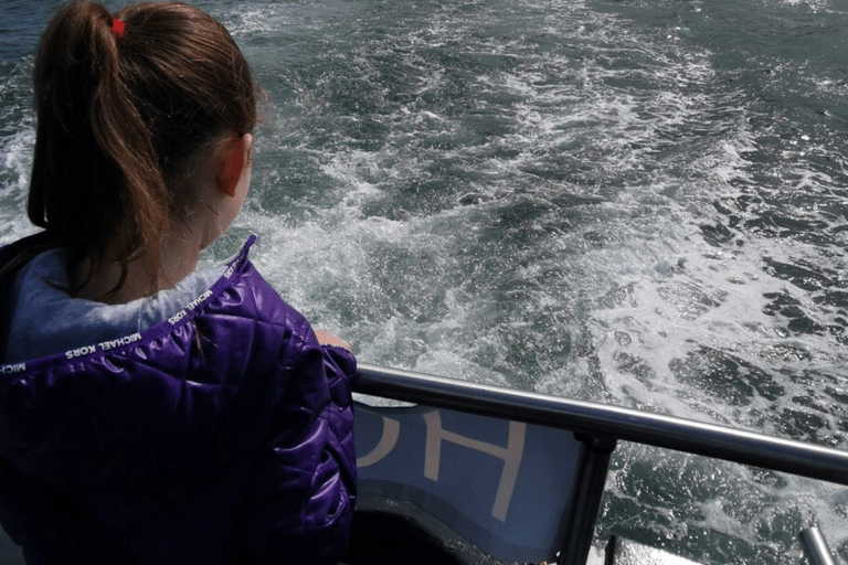 Dublín: Tour en barco por la Bahía de Dublín y el Ojo de Irlanda