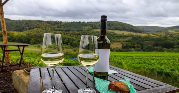 Budapest: Cycling day-trip to Etyek with wine tasting & meal