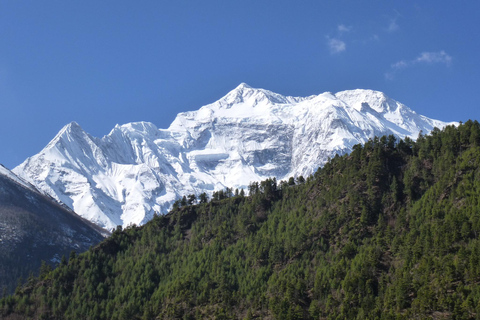 Kort vandring på Annapurna Circuit - 6 dagarJomsom Pokhara Flyg ingår