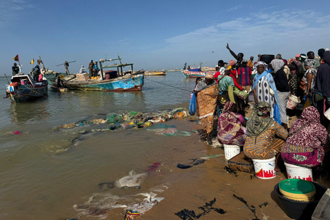 M'bour: Full-day immersion at the fishing harbor and arrival of the canoes