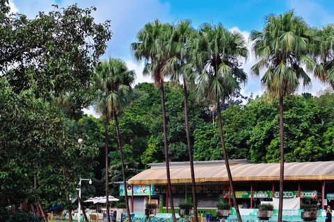 Guangzhou Zoo: Giant panda Pavilion Ticket