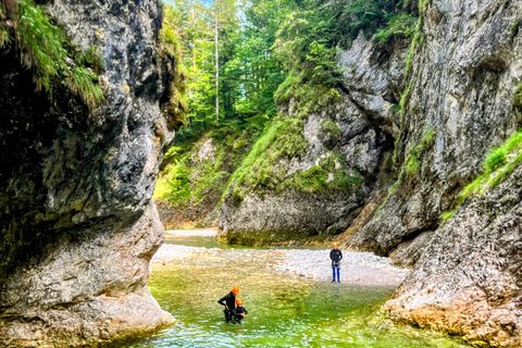 Bad Ischl: Canyoning Adventure for Beginners EXTENDED