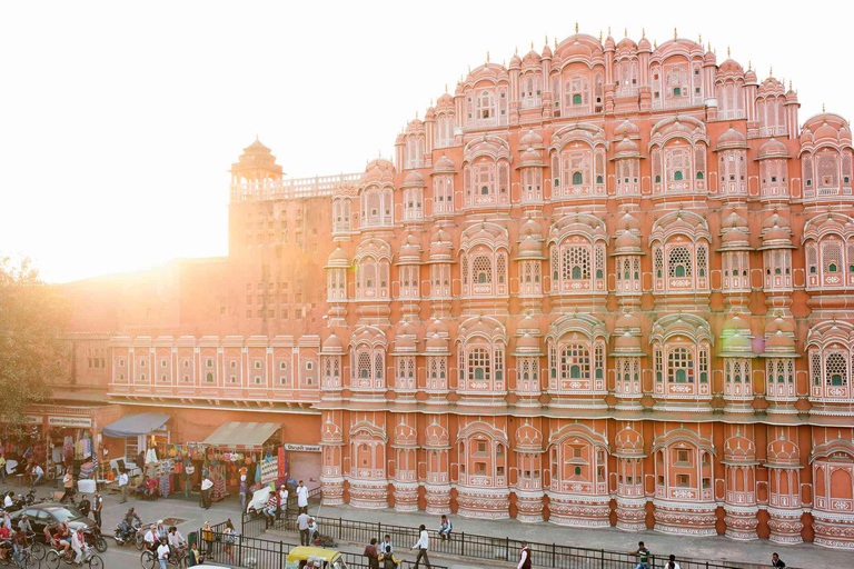 Jaipur: Excursão de meio dia ao Forte Amer, Jal Mahal e Stepwell