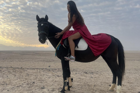 Hurghada: Horse Riding in the Desert & Beach Experience 1 HR Desert Horse Riding Experience without transfer