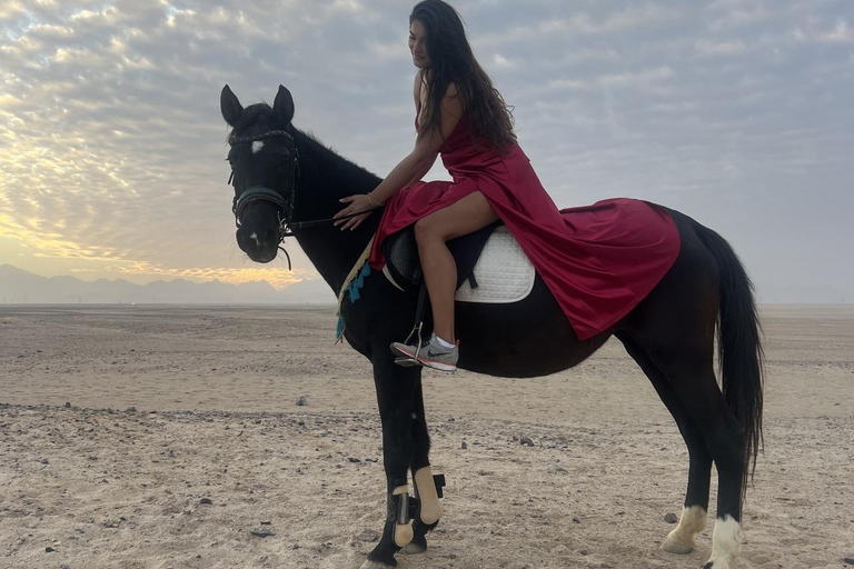 Hurghada: Horse Riding in the Desert & Beach Experience 1 HR Desert Horse Riding Experience without transfer
