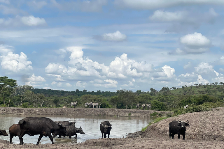 Entebbe: Nationaal Park Lake Mburo, Equator Tour &amp; Rondvaart