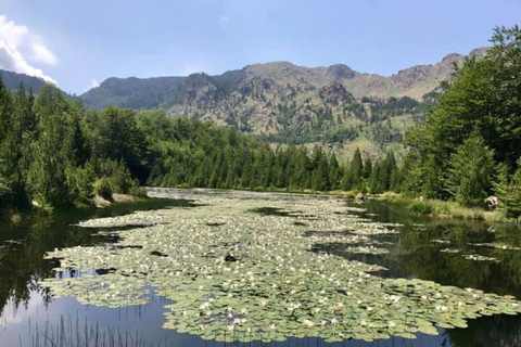 Desde Tirana Excursión de un día al condado de Dibër con desayuno y almuerzo