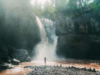 Ubud: Waterfall, Rice Terrace & Temple Private Day Tour
