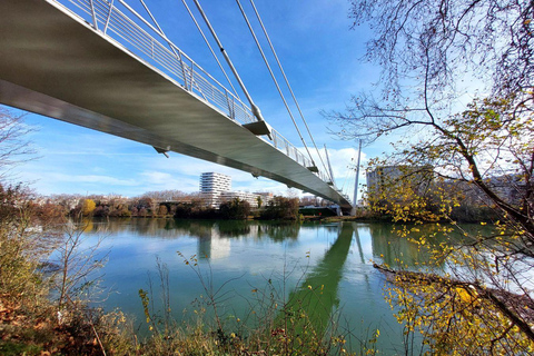 Panoramic Toulouse, e-bike ride, and cable car