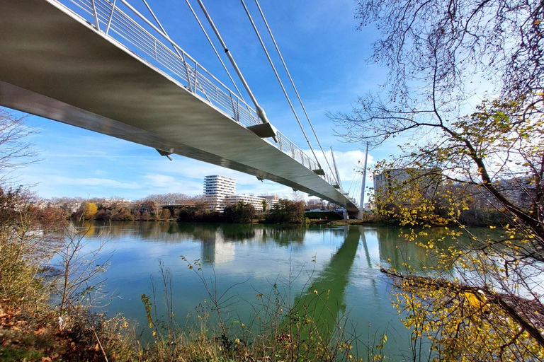 Panoramic Toulouse, e-bike ride, and cable car