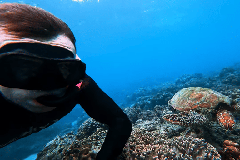 Cebú:Excursión en grupo con tiburón ballena, cascada y carrera de sardinas+Comida