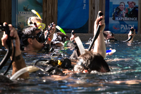 Cairns: 4-Day PADI Open Water Course