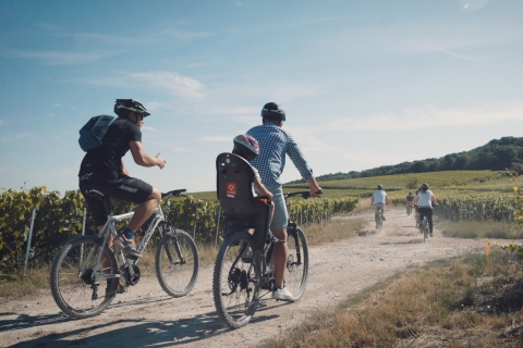 Champagne region : Ebike tour with a local guide !
