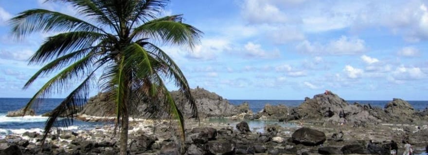 Kingstown : Visite de l'étang salé d'Owia avec prise en charge à l'hôtel