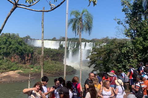 Foz do Iguaçu: Falls, Bird Park, and Macuco Safari Tour
