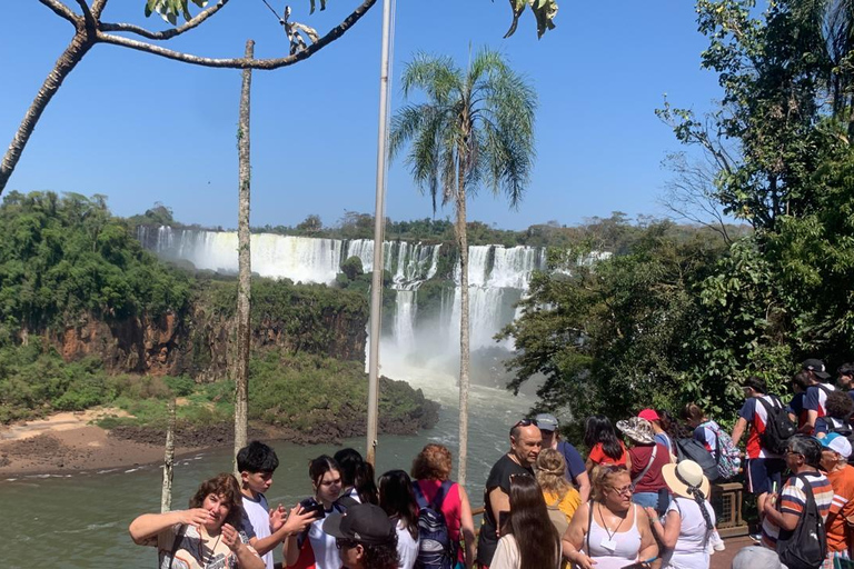 Foz do Iguaçu: Falls, Bird Park, and Macuco Safari Tour