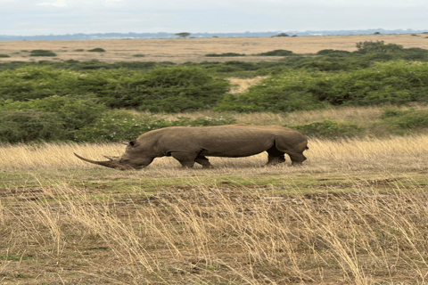 Safari Maasai Mara 3 dni/2 noce