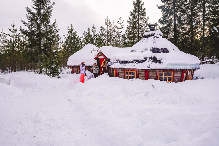 Luleå: Guided Dog Sledding Tour