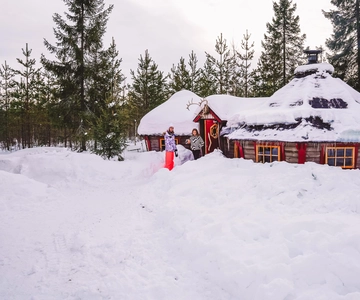 Luleå: Drive your own Husky team, 10km