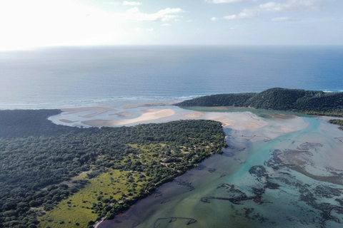 St Lucia: Cape Vidal Snorkeling & Hluhluwe Big 5 Safari