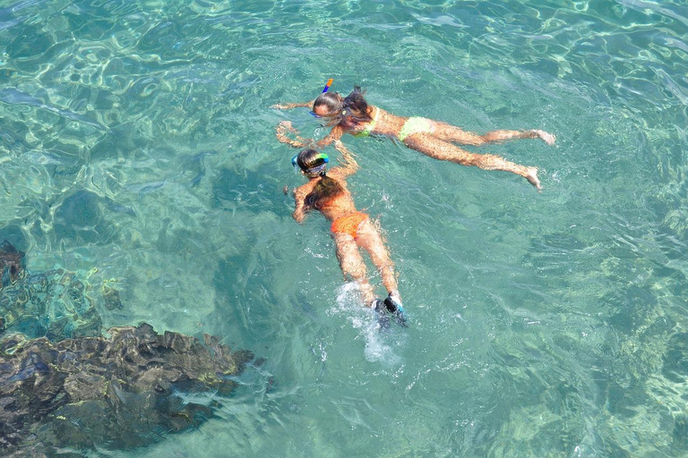 Tudo incluído Observação de baleias e golfinhos em Mirissa + mergulho com snorkel