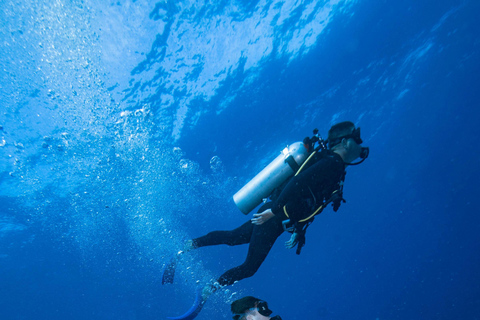 Chania : Essai de plongée sous-marine 2 plongées à terre (recevoir la certification)
