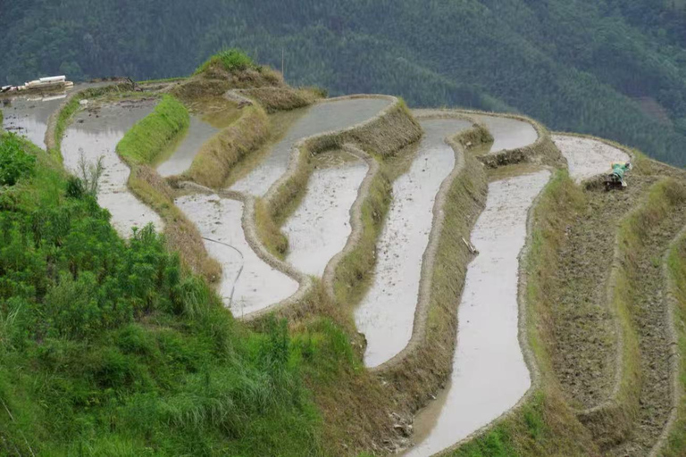 Guilin: In-Depth Longji Rice Terraces Day Trip with Lunch Group Tour